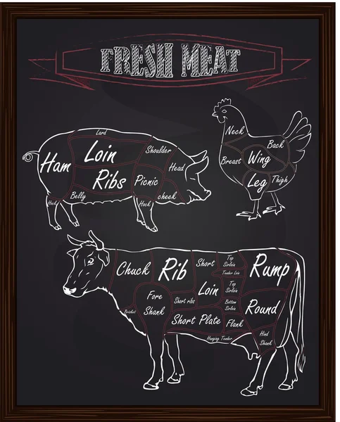 Diagramma di sezione di una mucca di maiale e un pollo — Vettoriale Stock