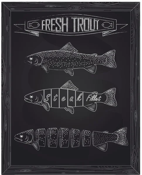 Three fresh trout from the scheme — ストックベクタ