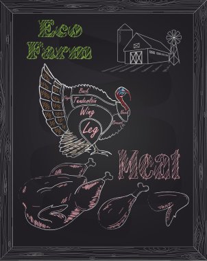 bir düzeni ve eko et genç güzel kaz