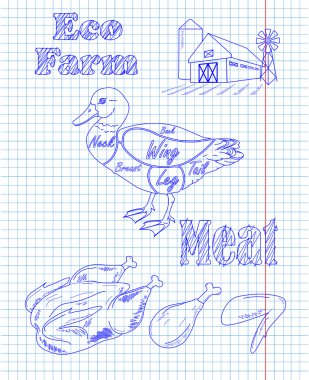 düzeni ve eko et genç güzel ördek