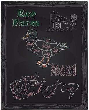 düzeni ve eko et genç güzel ördek