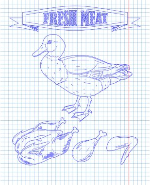 genç güzel ördek ve taze et