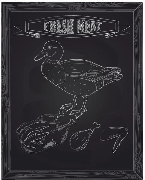 Joven hermoso pato y carne fresca — Vector de stock
