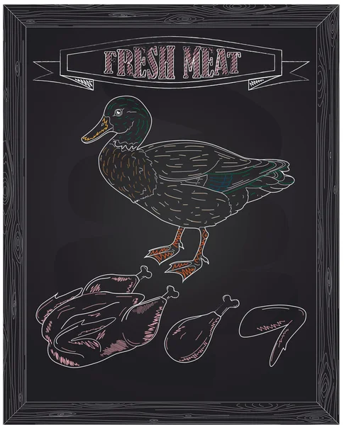 Joven hermoso pato y carne fresca — Archivo Imágenes Vectoriales