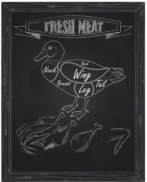 Belo pato jovem em um esquema e carne fresca — Vetor de Stock
