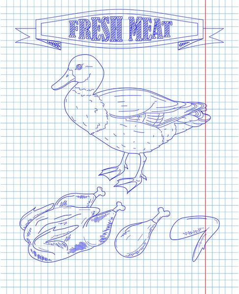 genç güzel ördek ve taze et