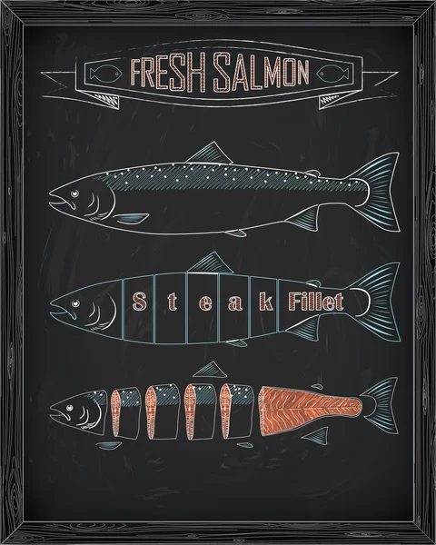 Tres salmones frescos del régimen — Vector de stock