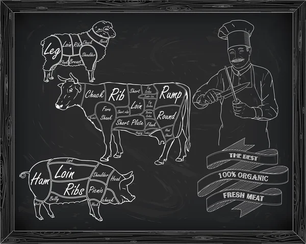 sığır eti diyagramı, domuz eti, kuzu ve aşçı kesim