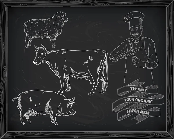 Styckning nöt diagram, fläsk, lamm och cook — Stock vektor