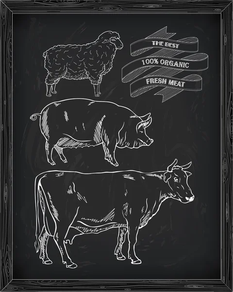 Butchering beef diagram, pork, lamb — Stock Vector