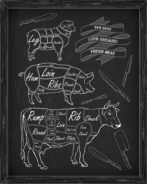 Styckning nöt diagram, fläsk, lamm och kniv — Stock vektor