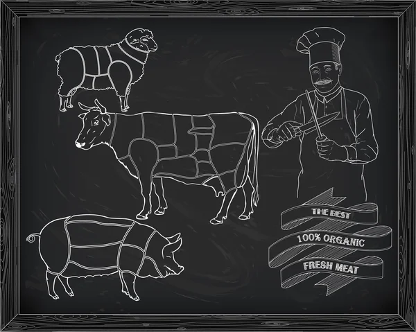 Rozbiór diagramu wołowiny, wieprzowiny, jagnięciny i gotować — Wektor stockowy