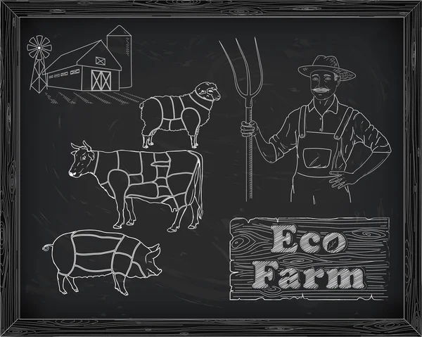 Piękne wołowiny diagramu, wieprzowina, jagnięcina i rolnik — Wektor stockowy
