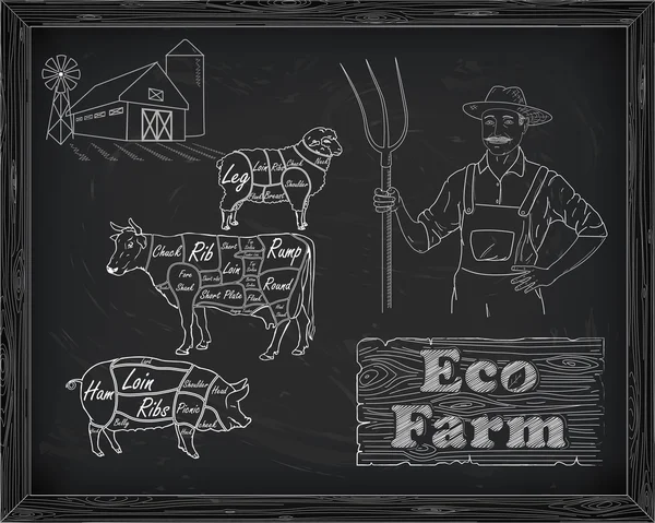 Piękne wołowiny diagramu, wieprzowina, jagnięcina i rolnik — Wektor stockowy