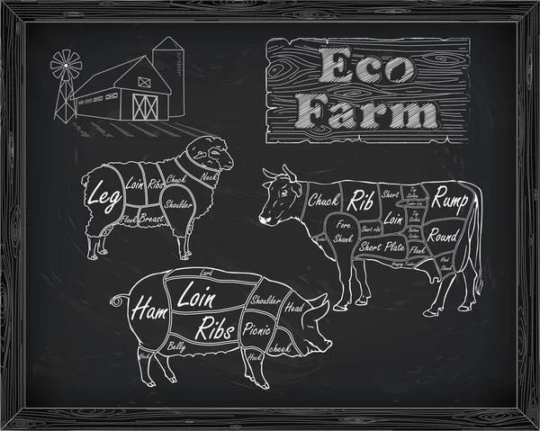 Carnicería diagrama de carne de res, cerdo, cordero y granja — Vector de stock
