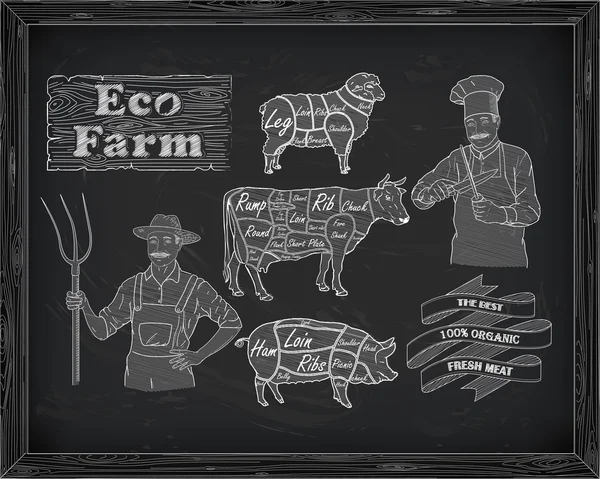 Butchering beef diagram, pork, lamb and farmer, cook — Stock Vector