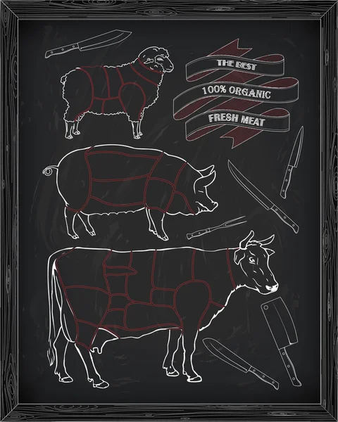 Afslachten diagram van rundvlees, varkensvlees, lamsvlees en mes — Stockvector