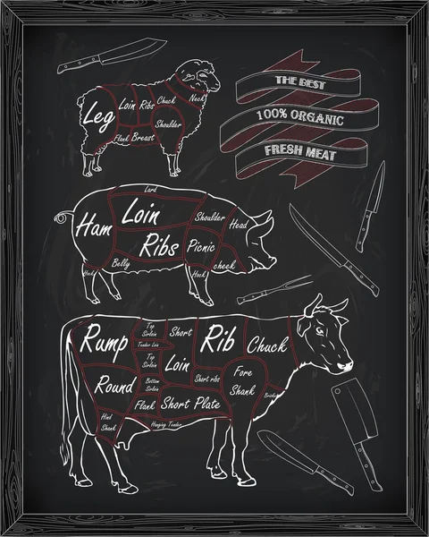 Diagramme de boucherie de bœuf, porc, agneau et couteau — Image vectorielle