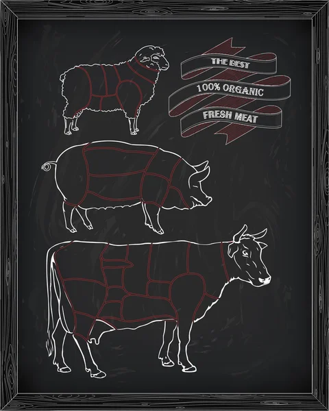 Carnicería diagrama de carne de res, cerdo, cordero — Vector de stock
