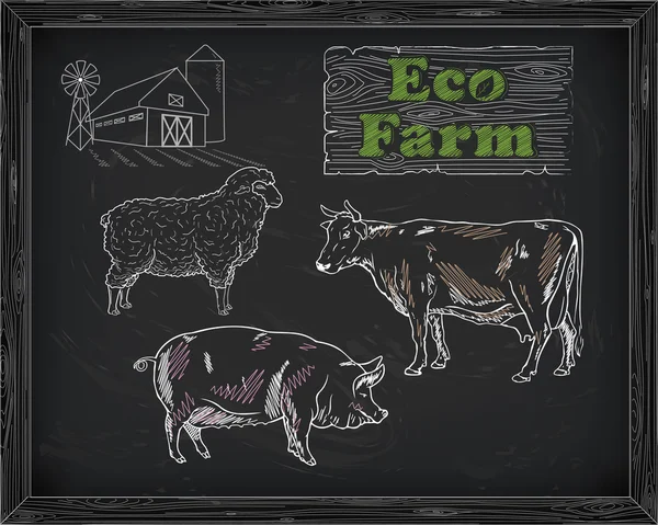 Rozbiór wołowiny diagramu, wieprzowina, jagnięcina i gospodarstwa — Wektor stockowy