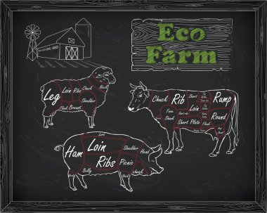 sığır eti diyagramı, domuz eti, kuzu ve çiftlik kesim