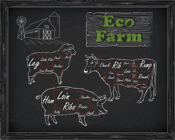 Rozbiór wołowiny diagramu, wieprzowina, jagnięcina i gospodarstwa — Wektor stockowy