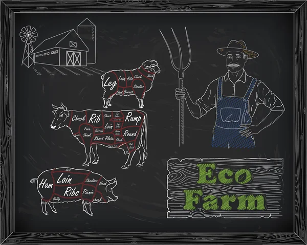 Piękne wołowiny diagramu, wieprzowina, jagnięcina i rolnik — Wektor stockowy