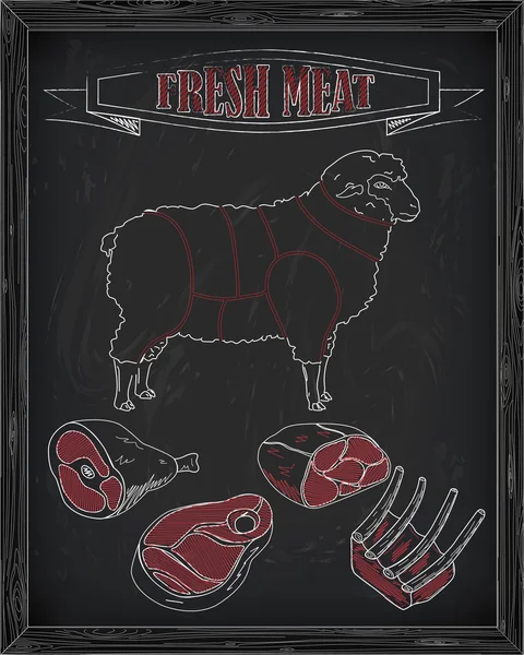 Bonito ovinos e corte regime de carne —  Vetores de Stock