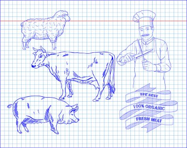 sığır eti diyagramı, domuz eti, kuzu ve aşçı kesim