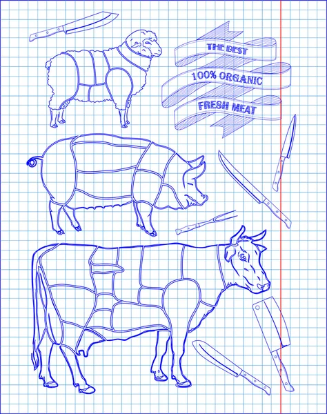 Diagramme de boucherie de bœuf, porc, agneau et couteau — Image vectorielle