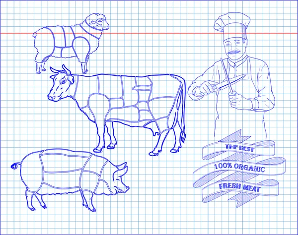 Carnicería diagrama de carne de res, cerdo, cordero y cocinar — Vector de stock