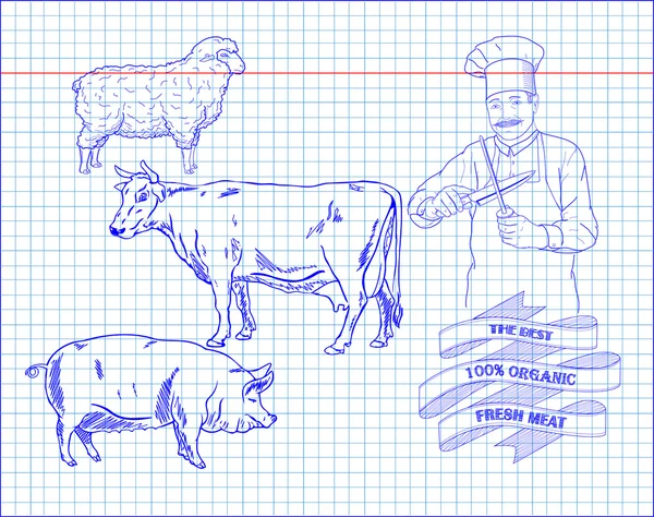 Styckning nöt diagram, fläsk, lamm och cook — Stock vektor