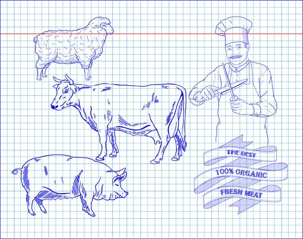 Zmasakrování diagram hovězí, vepřové, jehněčí a kuchař — Stockový vektor