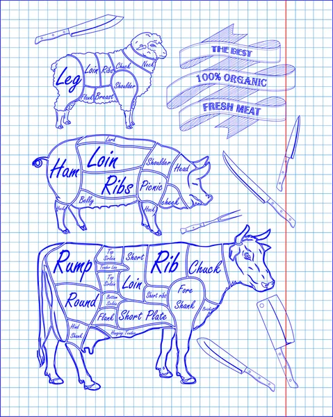 Mészáros diagram marha, sertés, bárány- és kés — Stock Vector