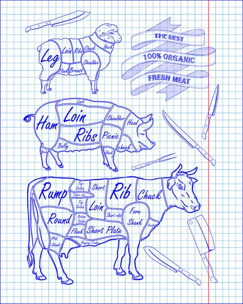 Styckning nöt diagram, fläsk, lamm och kniv — Stock vektor