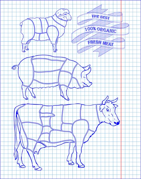 Macellazione di carne di manzo, maiale, agnello — Vettoriale Stock