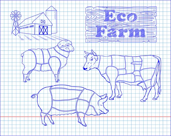 Carnicería diagrama de carne de res, cerdo, cordero y granja — Vector de stock