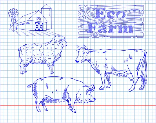 Sığır eti diyagramı, domuz eti, kuzu ve çiftlik kesim — Stok Vektör