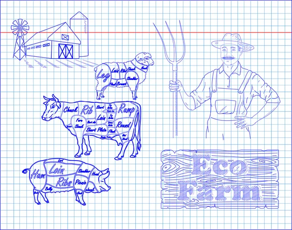 Διάγραμμα όμορφη βόειο κρέας, χοιρινό, αρνί και αγρότης — Διανυσματικό Αρχείο