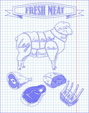 Güzel koyun ve kesim et düzeni