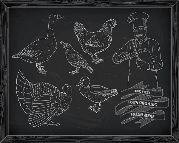 Mooie duivin kwartel Turkije duck ganzen met chef-kok — Stockvector