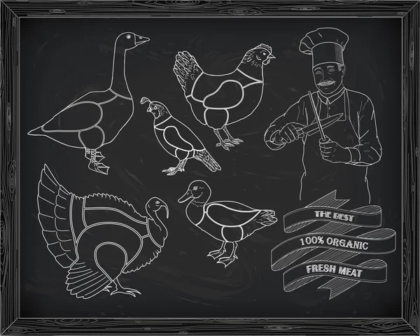 Όμορφη σχήμα κοπής κοτόπουλο Τουρκία πάπια χήνα ορτύκια με χ. — Διανυσματικό Αρχείο