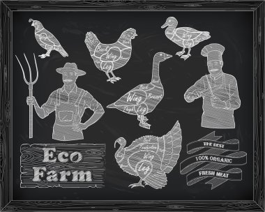 güzel düzeni tavuk hindi ördek kaz bıldırcın kesme ve çok