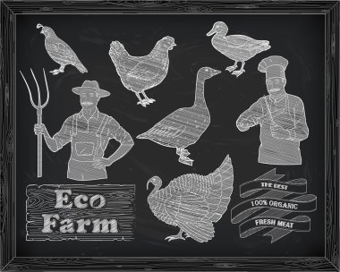 bıldırcın ve çiftçi co ile güzel tavuk hindi ördek kaz