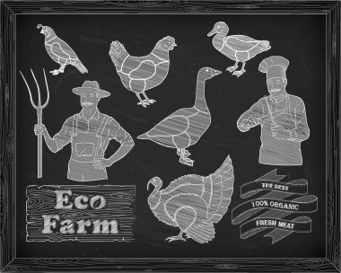 güzel düzeni tavuk hindi ördek kaz bıldırcın kesme ve çok