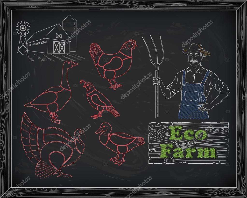 Beautiful scheme cutting chicken turkey duck goose quail on the farm and farmer drawn in chalk