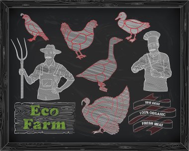 güzel düzeni tavuk hindi ördek kaz bıldırcın kesme ve çok