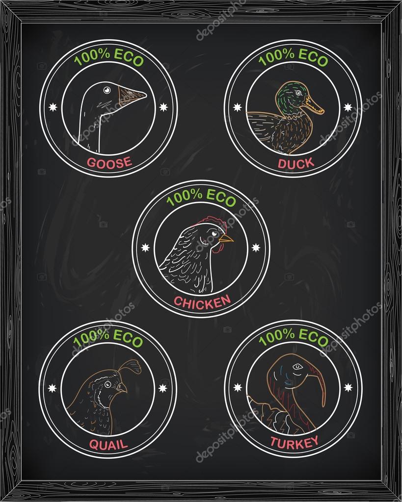Beautiful icons head chicken turkey duck goose quail drawn in chalk