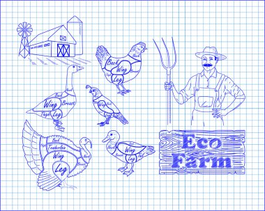 güzel düzeni tavuk hindi ördek kaz bıldırcın kesim 