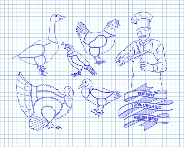 Systemet med vacker skärning kyckling Turkiet anka gås vaktel med ch — Stock vektor